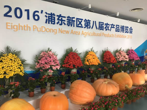 澤泉科技應邀參加2016年浦東新區(qū)第八屆農(nóng)產(chǎn)品博覽會1.jpg 澤泉科技應邀參加2016年浦東新區(qū)第八屆農(nóng)產(chǎn)品博覽會1.jpg